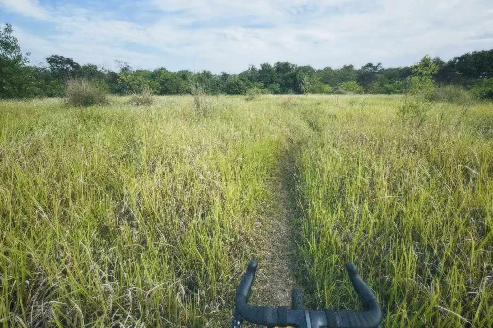 青龙湖公园草地小路和自行车把手。