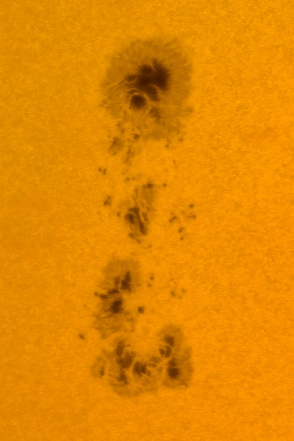 太阳表面的黑子图像。