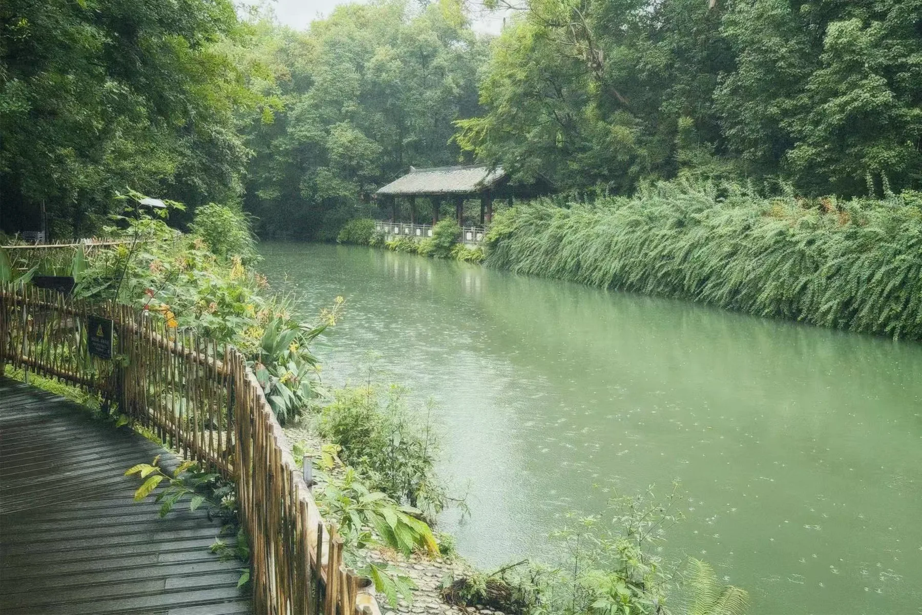 浣花溪边水面泛着绿色，远处藏着亭子。