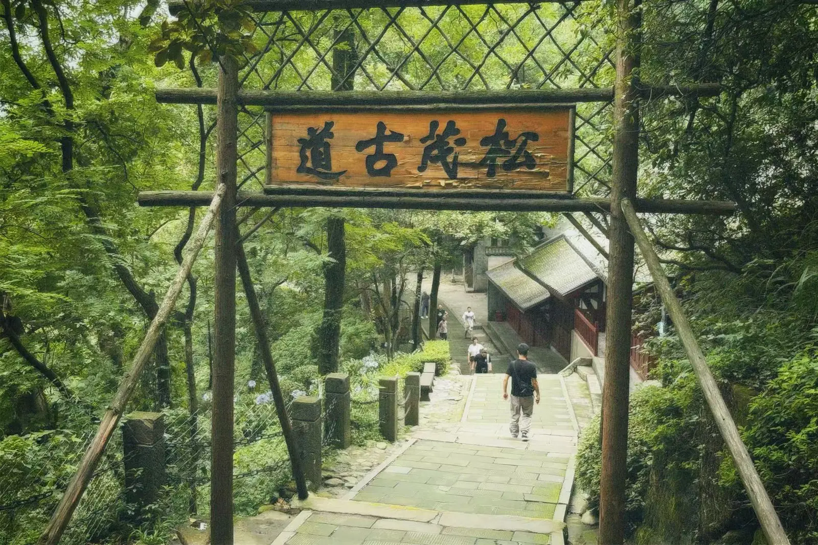 松茂古道的木牌横在石阶上，下面是被树包围的古道。