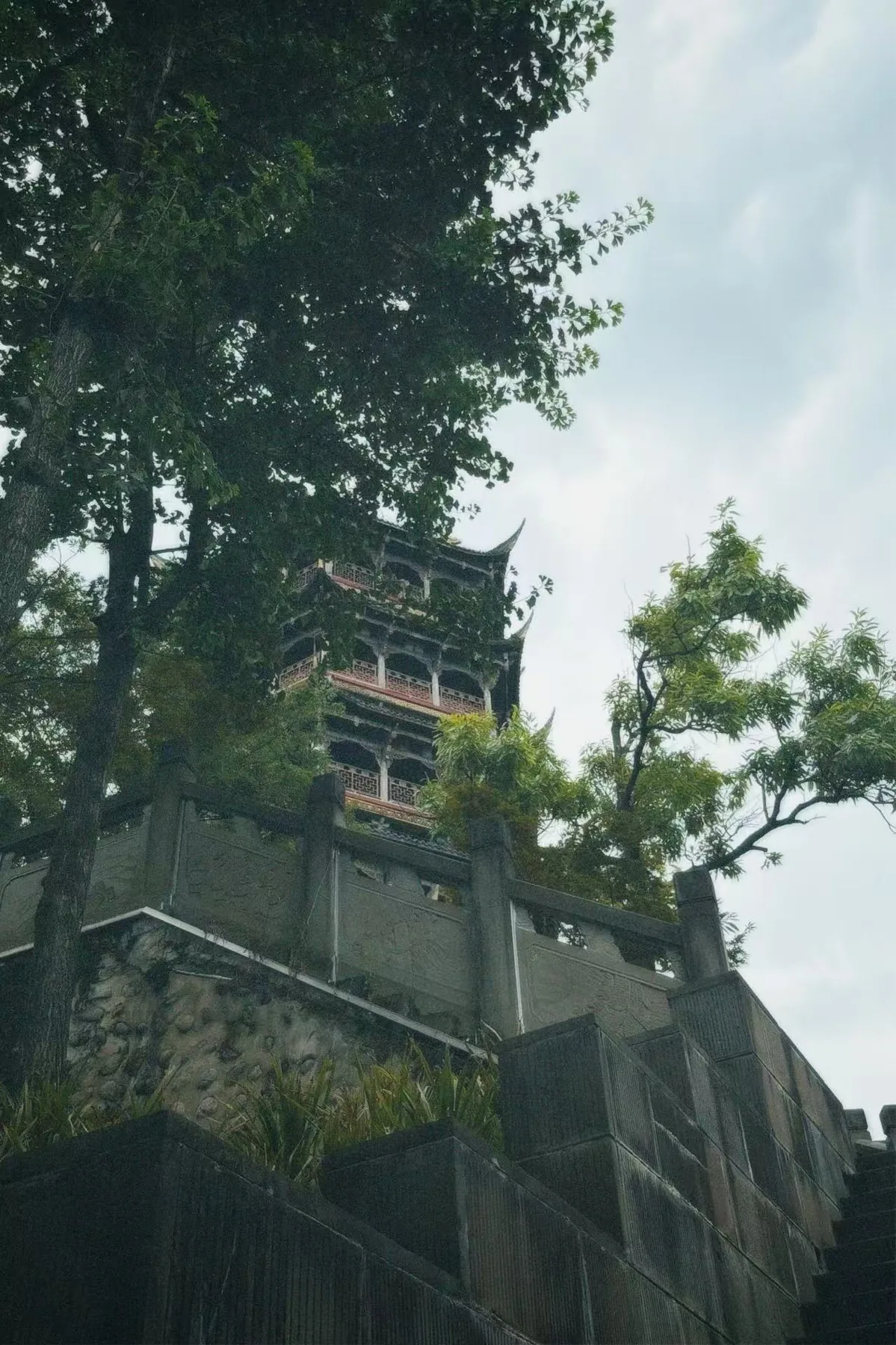 树和石阶旁，一座塔从山上露出来。