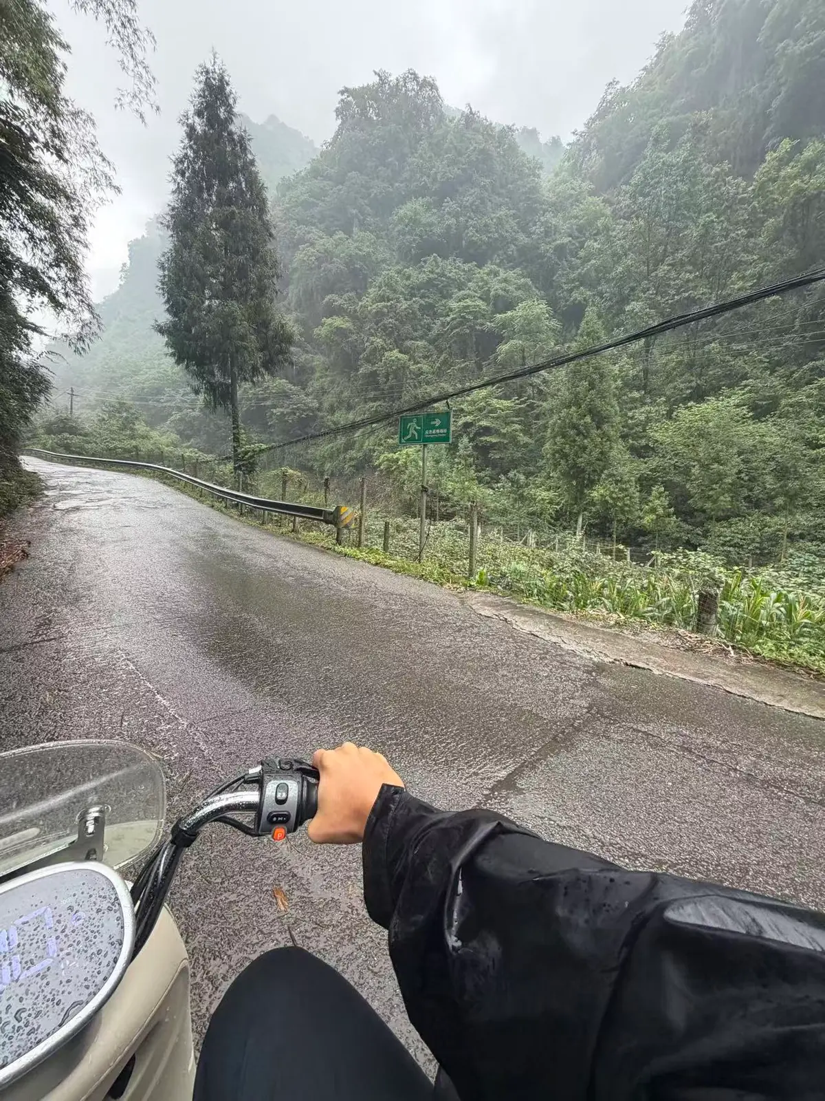 雨中的山路，电瓶车车把前方是湿透的路和绿色山林。