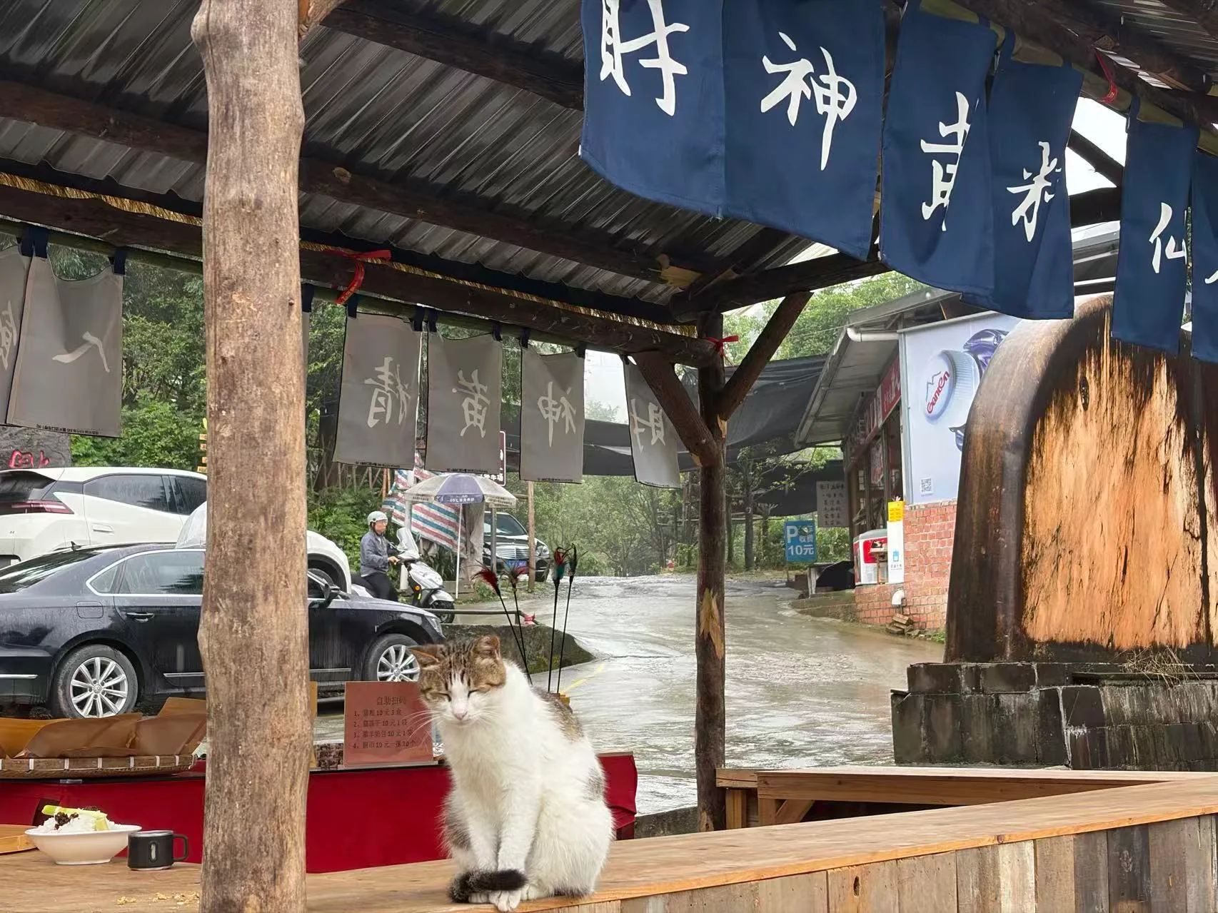 赵公庙门口，一只白狸花猫坐在桌边，外面还下着雨。